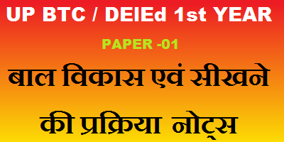 बाल विकास एवं सीखने की प्रक्रिया  नोट्स